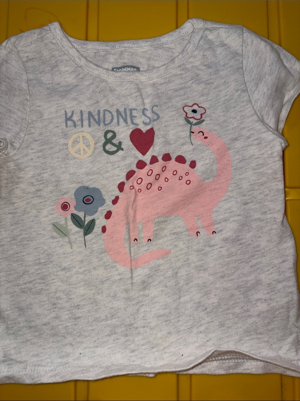 Children's 'Kindness' Pink Dinosaur Graphic Tee